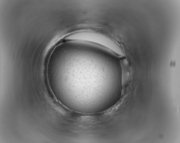 X0000091460150200709061804