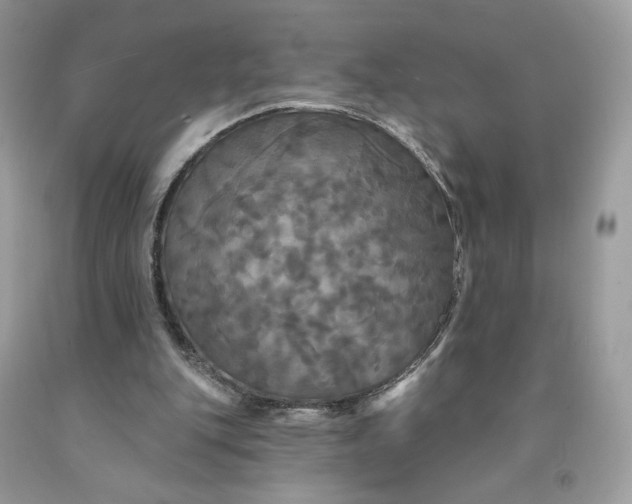 X0000091460151200709061804