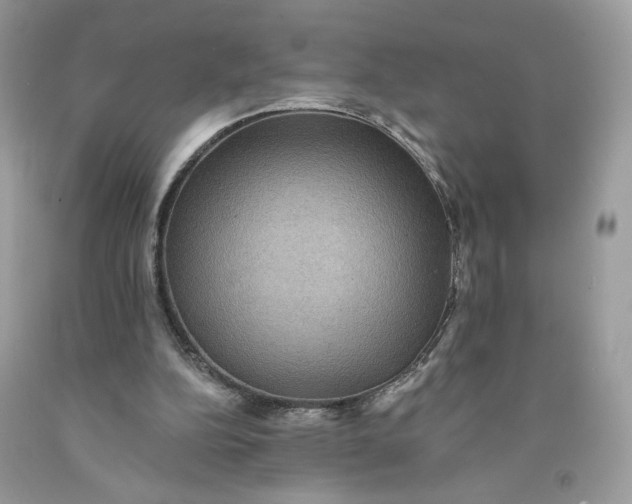 X0000091460152200709061804
