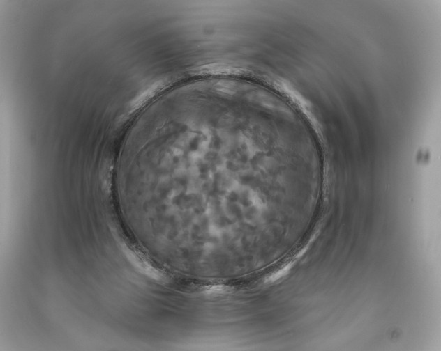 X0000091460153200709061804