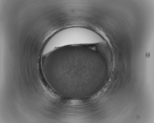 X0000091460154200709061804
