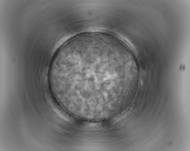 X0000091460155200709061804