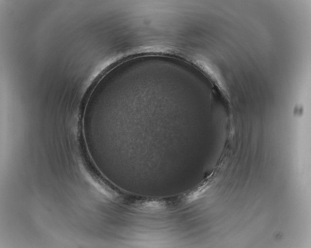 X0000091460156200709061804