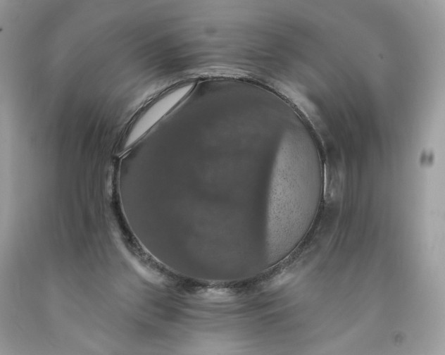 X0000091460157200709061804