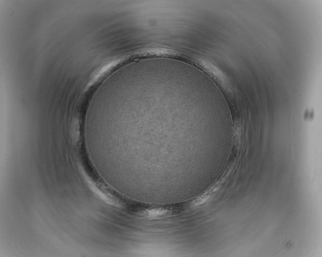 X0000091460158200709061804