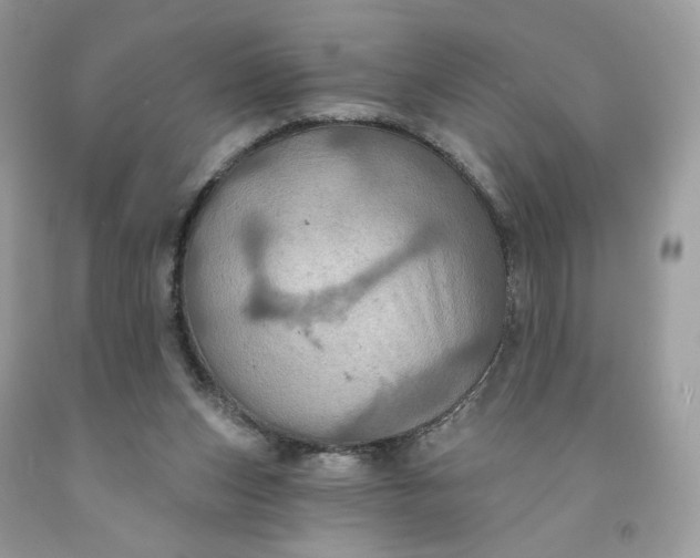 X0000091460159200709061804
