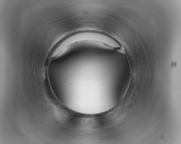X0000091460160200709061804