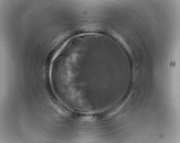 X0000091460161200709061804