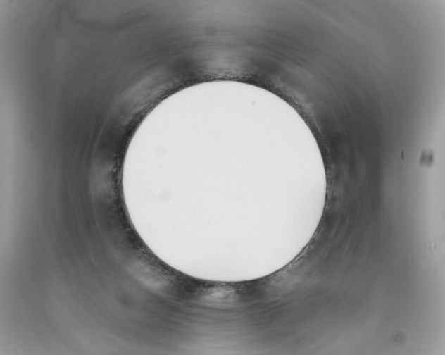 X0000091460162200709061804