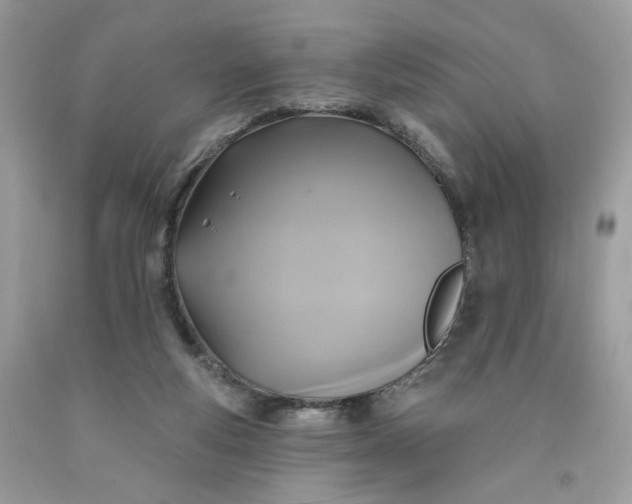 X0000091460163200709061804