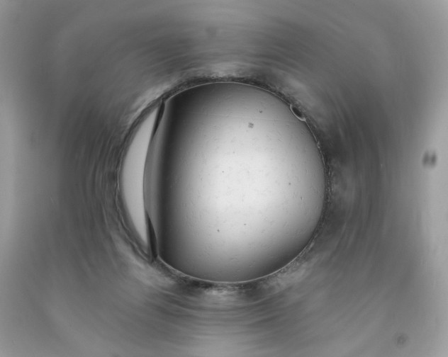 X0000091460164200709061804