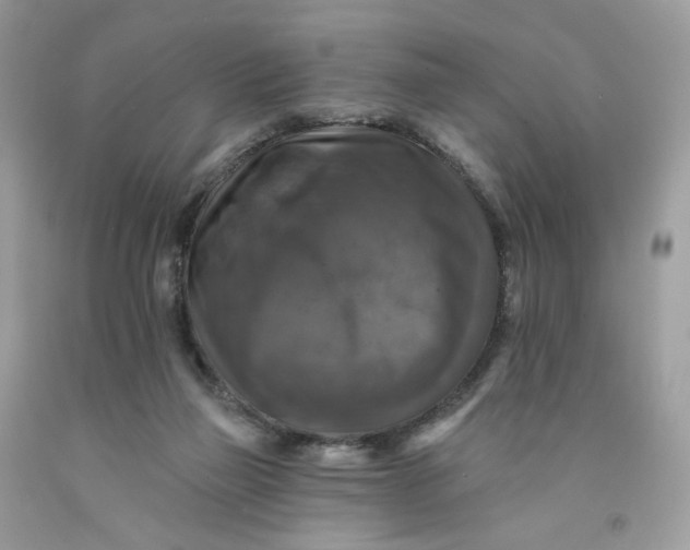 X0000091460165200709061804