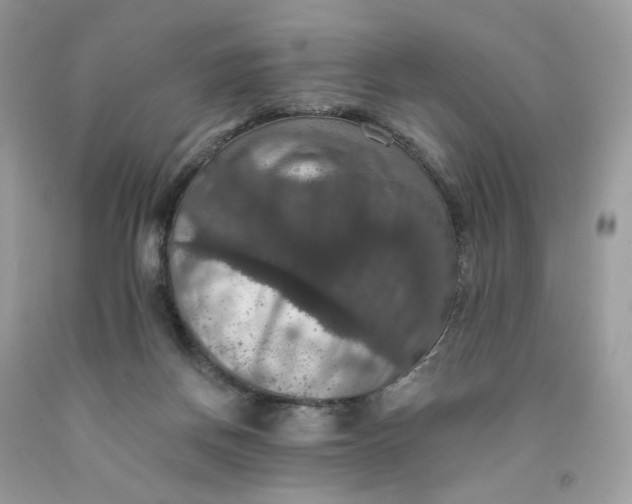 X0000091460166200709061804