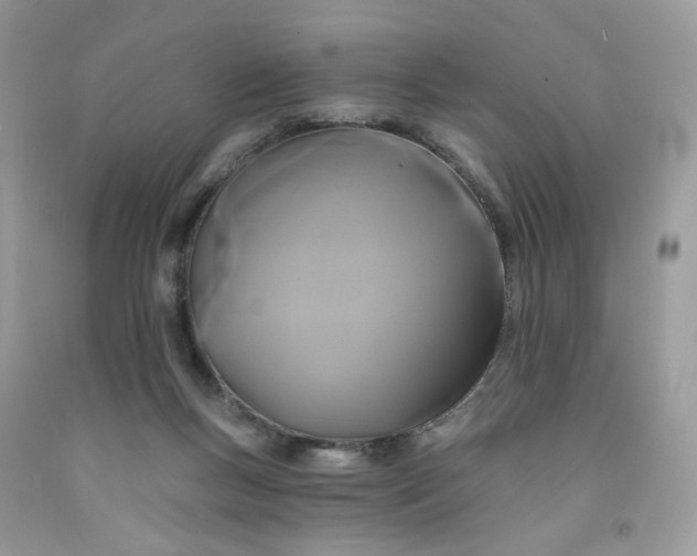 X0000091460167200709061804