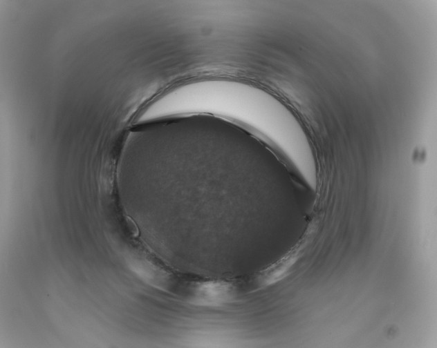 X0000091460168200709061804