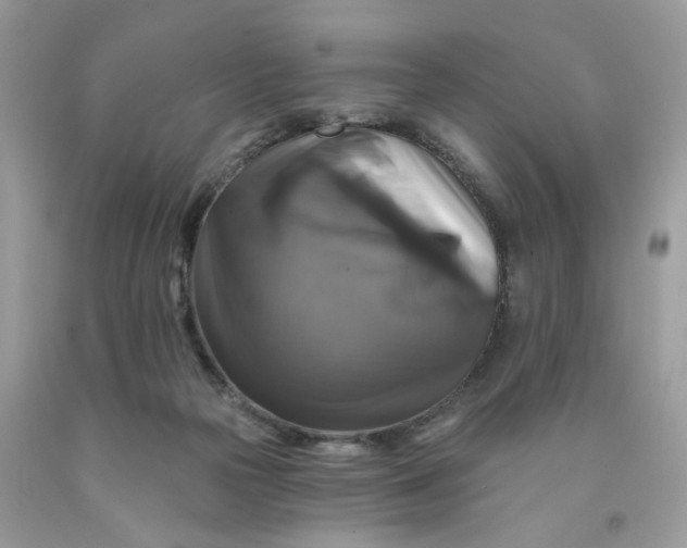 X0000091460169200709061804