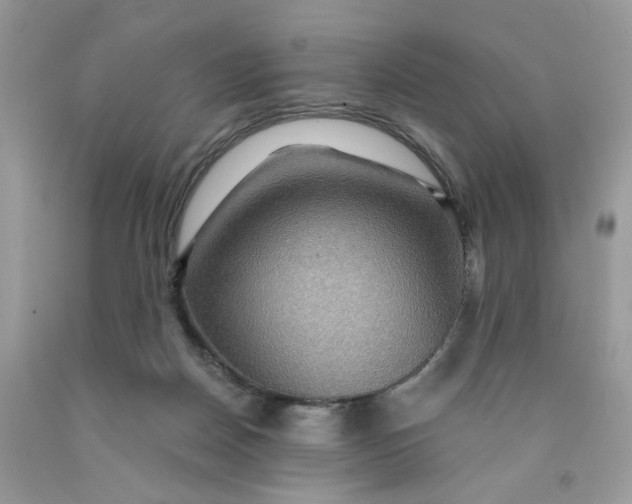 X0000091460170200709061804