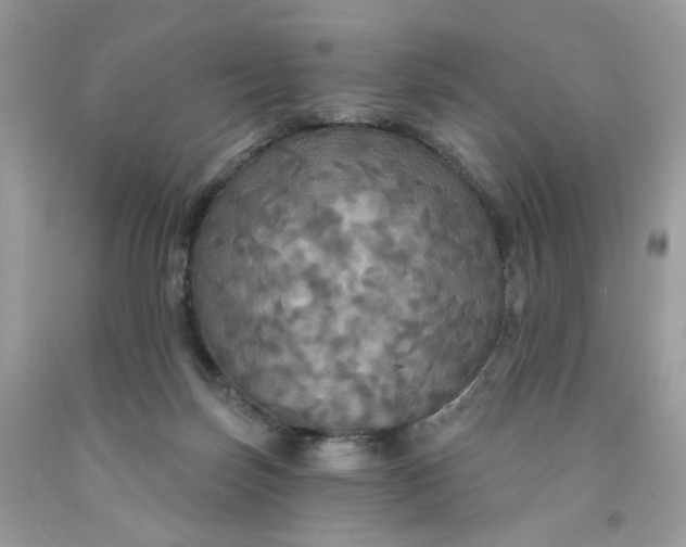 X0000091460171200709061804