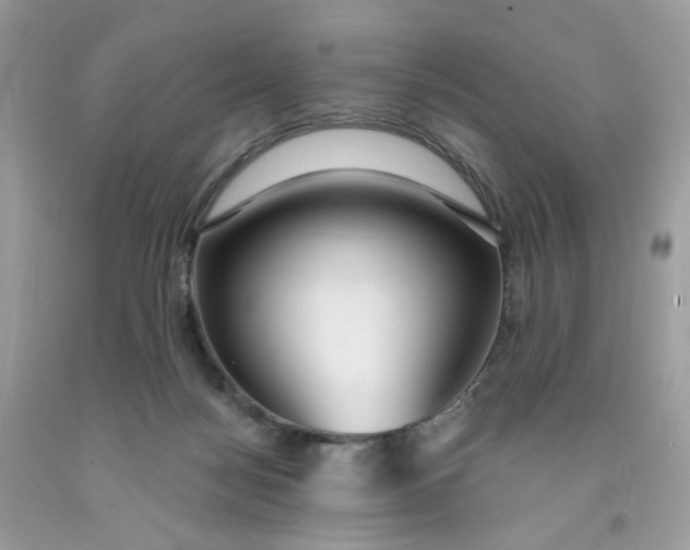 X0000091460172200709061804