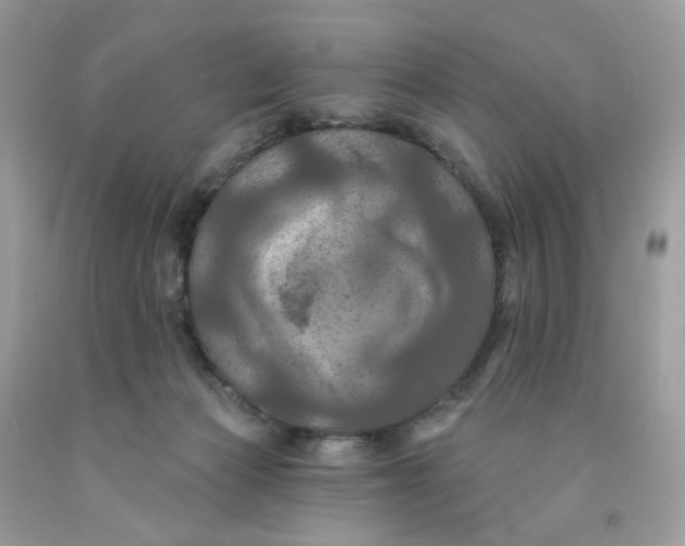 X0000091460173200709061804