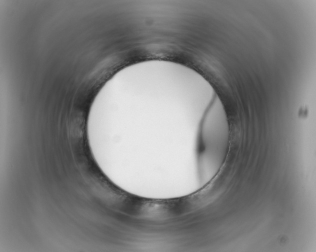 X0000091460174200709061804