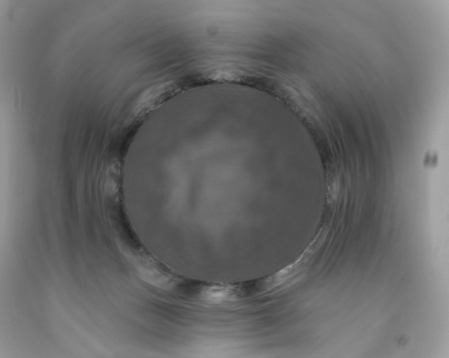 X0000091460175200709061804