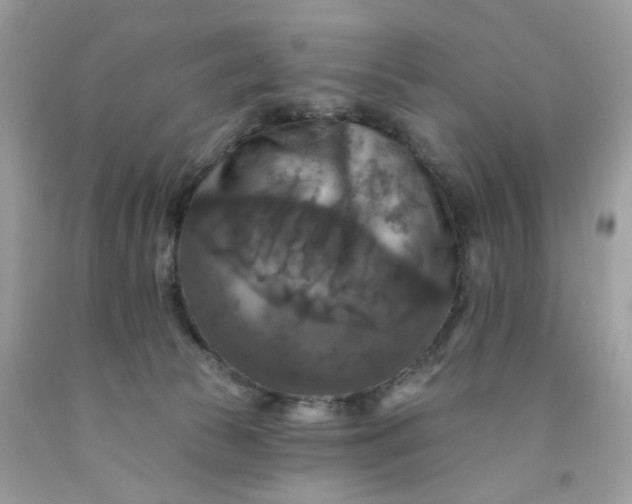 X0000091460177200709061804