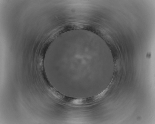 X0000091460178200709061804