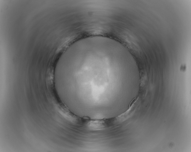 X0000091460179200709061804