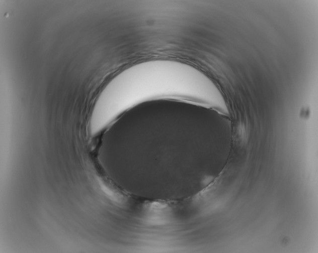 X0000091460180200709061804
