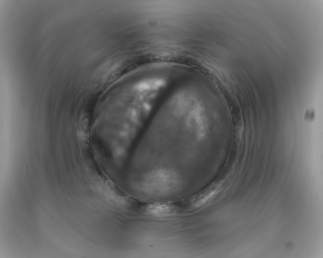 X0000091460181200709061804