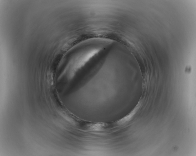 X0000091460182200709061804