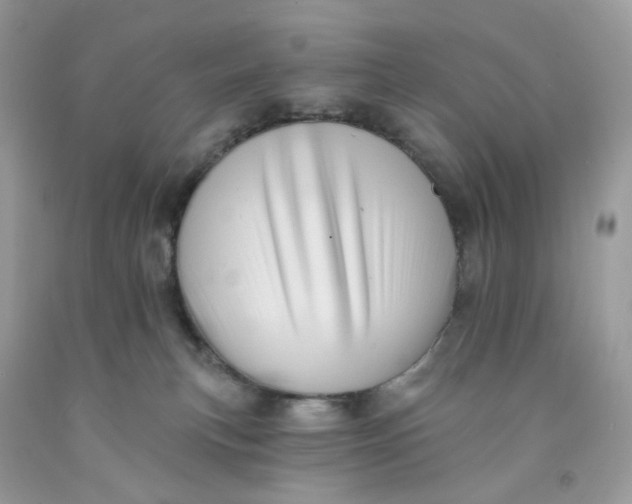 X0000091460183200709061804