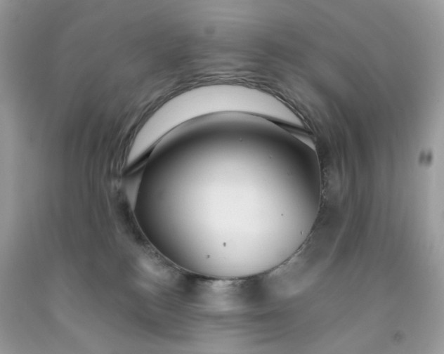 X0000091460184200709061804