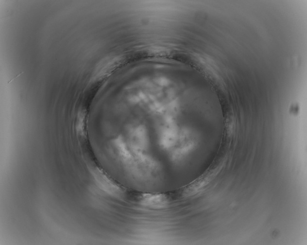 X0000091460185200709061804