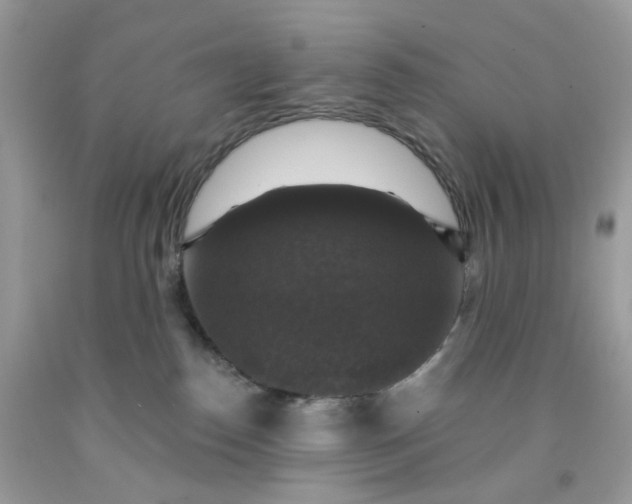 X0000091460186200709061804