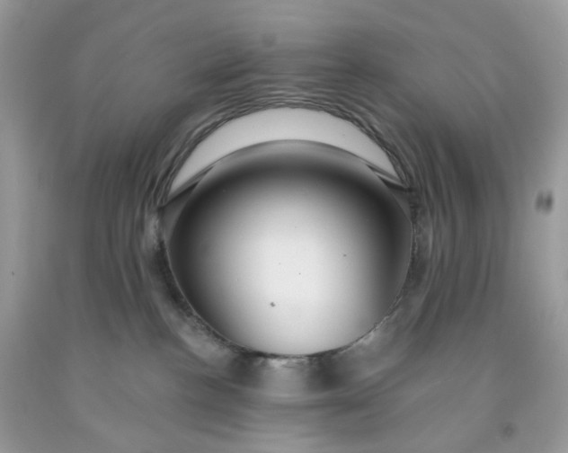 X0000091460188200709061804