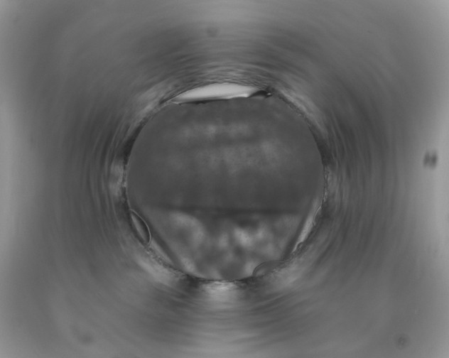 X0000091460189200709061804