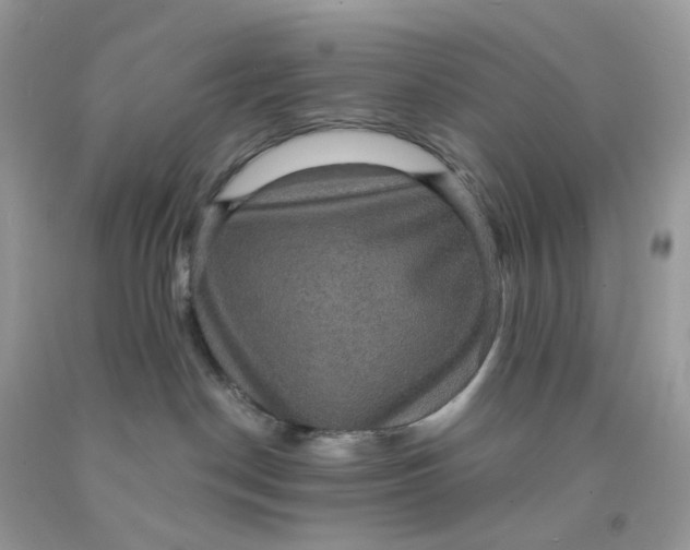 X0000091460190200709061804