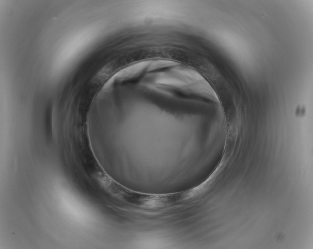X0000091460191200709061804