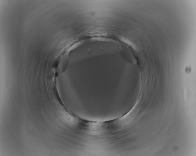 X0000091460192200709061804
