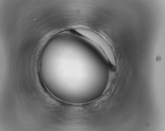 X0000091460193200709061804