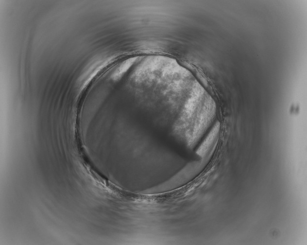 X0000091460194200709061804