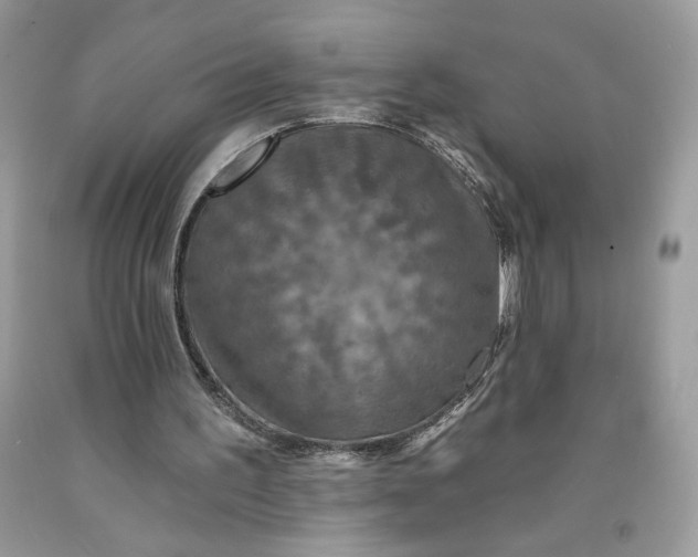 X0000091460195200709061804