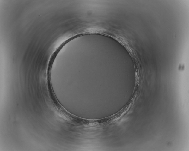 X0000091460196200709061804