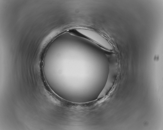 X0000091460197200709061804
