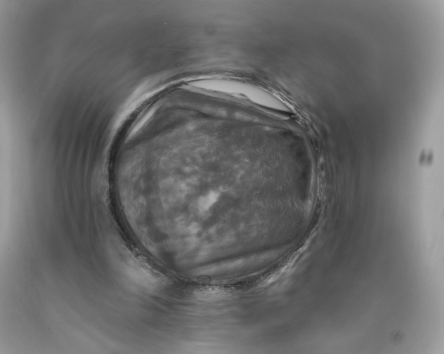 X0000091460198200709061804