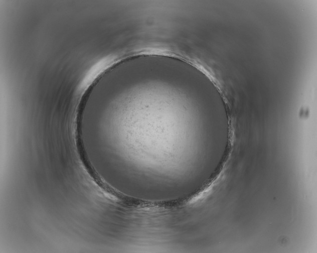 X0000091460199200709061804
