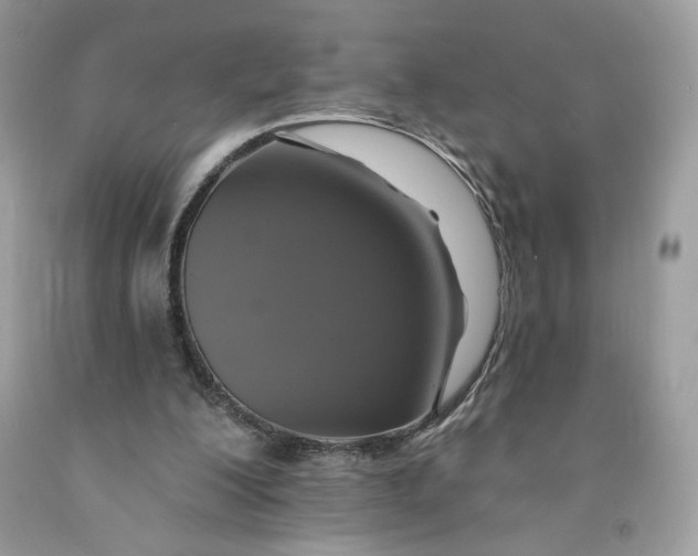 X0000091460200200709061804