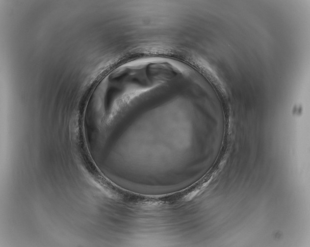 X0000091460202200709061804